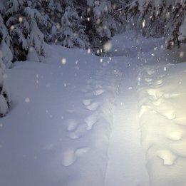 PXL_20260216_170016228