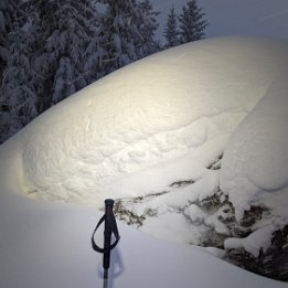 PXL_20260216_170530282.NIGHT