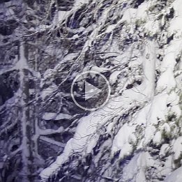 PXL_20260216_172656150.TS