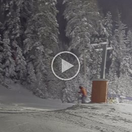 2026-02-18-083153992