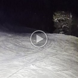 PXL_20260218_175606434.TS