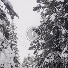 PXL_20260219_153515983.TS