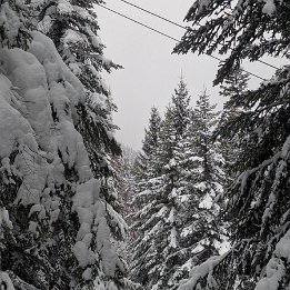 PXL_20260219_153540729