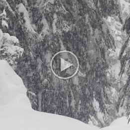 PXL_20260219_155136570.TS