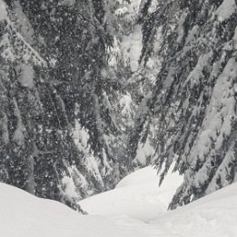 PXL_20260219_155206845