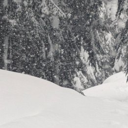 PXL_20260219_155210490