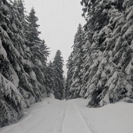 PXL_20260219_155216594