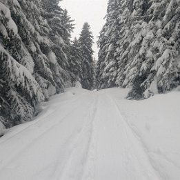 PXL_20260219_155218832