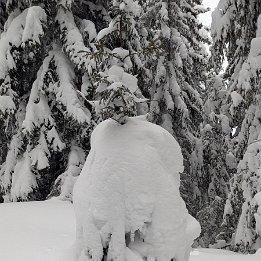 PXL_20260220_164324371