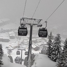 PXL_20260220_165414458.NIGHT