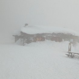 PXL_20260220_171502235