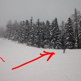 PXL_20260220_173535645.NIGHT~2