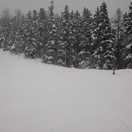 PXL_20260220_173544025.NIGHT