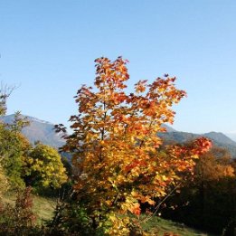 automne2007012