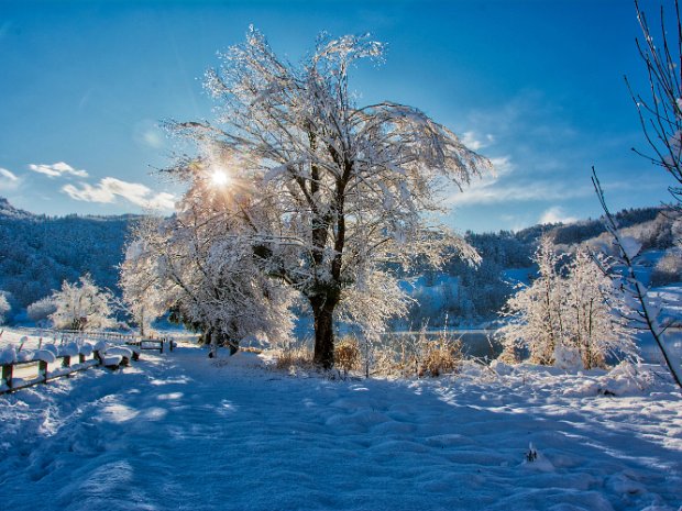 Décembre