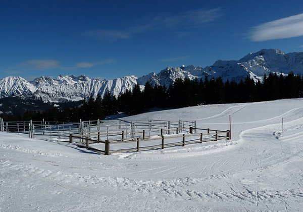 décembre