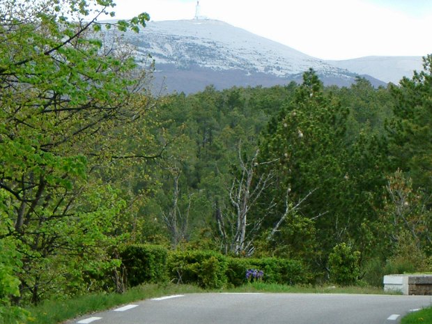 26-4-3 - Ventoux