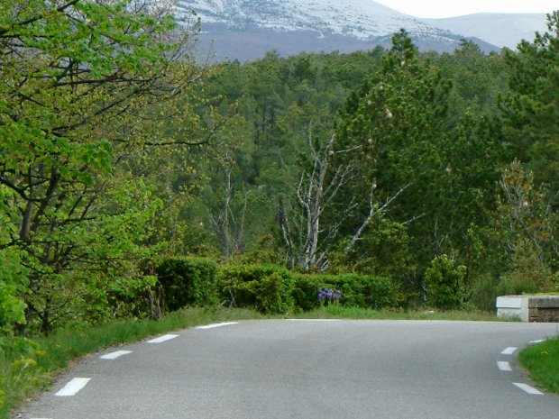 26-4-3 - Ventoux