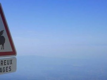 23-9-7 - Mont Ventoux