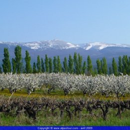 ventoux0409001