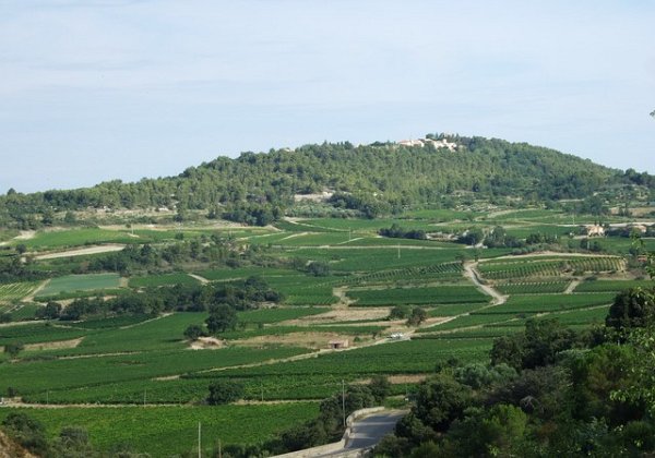 11-8-8 - Col Faraud - Gorges de la Nesque