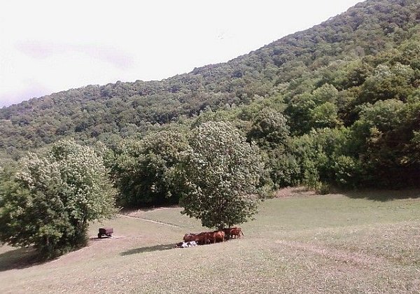 22-8-9 - Trou de Chignin par Montgelas