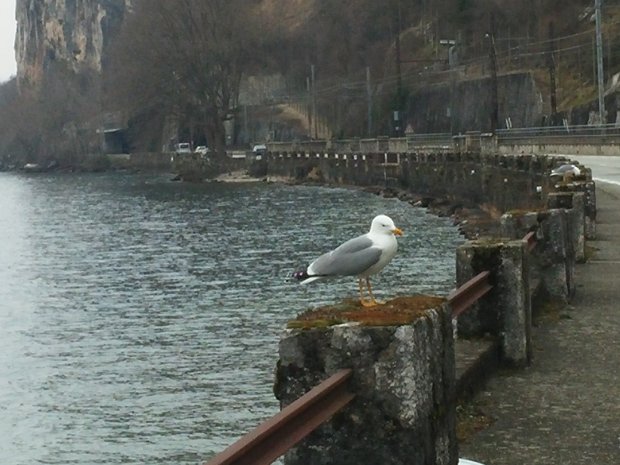 22-03-15 - Lac du Bourget