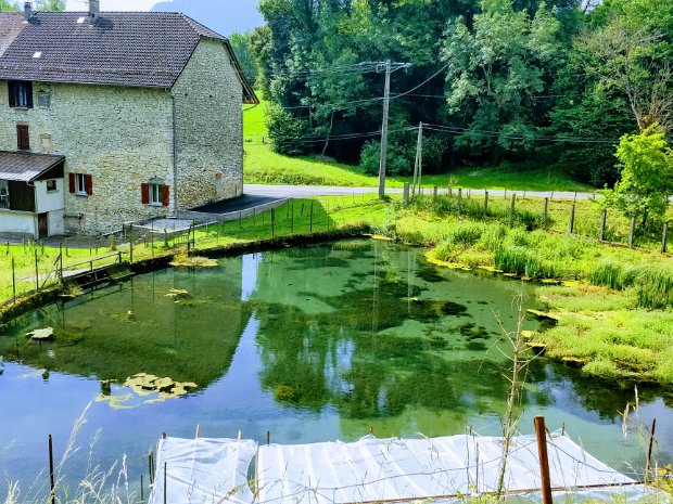 16-06-18 - Bourgoin Jallieu