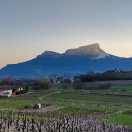 IMG_20190326_183141 - Copie