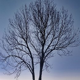 IMG_20200311_183237
