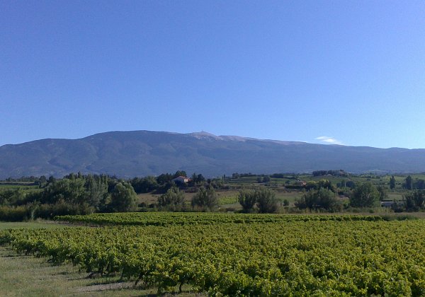 12-8-14 - Tour des dentelles