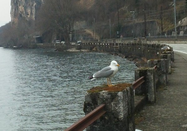 22-03-15 - Lac du Bourget