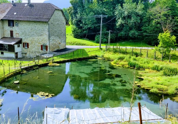 16-06-18 - Bourgoin Jallieu