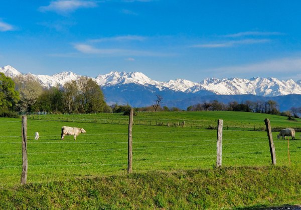 17-04-19 - Col du Granier