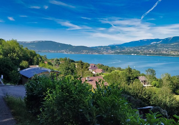 08-06-19 - Epine-Relais et Chat