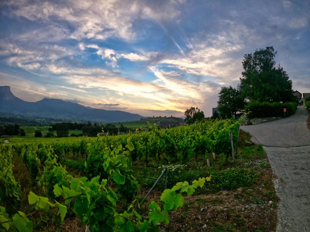 18-06-21 - Combe de Savoie