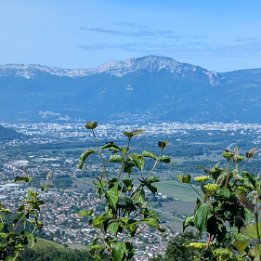 PXL_20260509_082557748