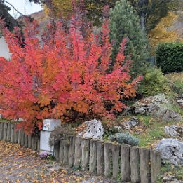 PXL_20251101_145905259.MP