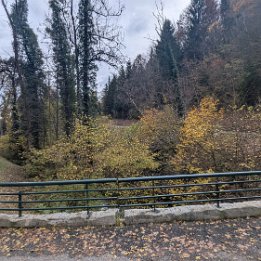 PXL_20251101_155119399.MP