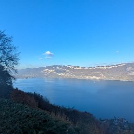 PXL_20251109_142403894.MP