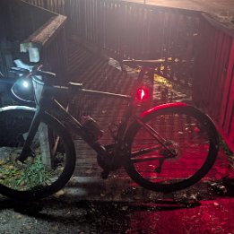 PXL_20251028_182019325.NIGHT