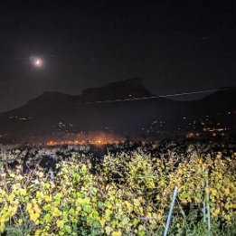 PXL_20251028_190434380.NIGHT