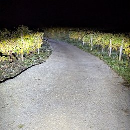 PXL_20251028_190717429.MP