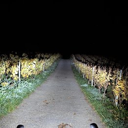 PXL_20251028_191230626.NIGHT