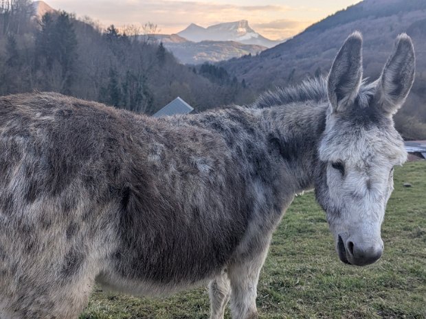 01-04-26 - Massif des Bauges