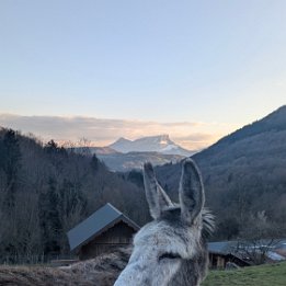 PXL_20260401_172926666