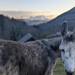 PXL_20260401_172931111