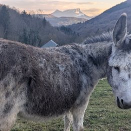 PXL_20260401_172933293