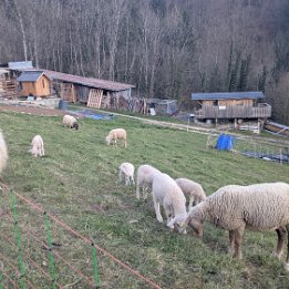 PXL_20260401_172936614