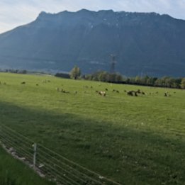 PXL_20260410_170919821